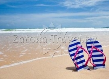 Недорогой отдых на море: Затока? 