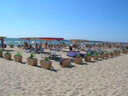 Погода в Затоке: t воды, воздуха 