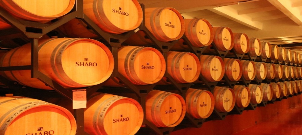 Экскурсия в Херсонкий подвал во время отдыха в Затоке