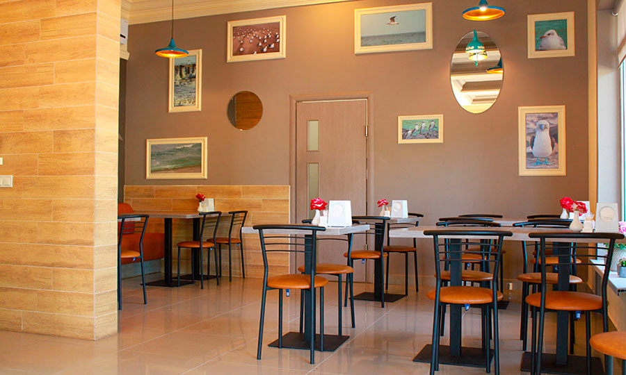 Автобус до Затоки